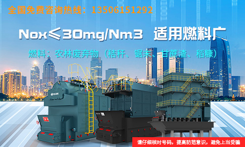 鍋爐性能參數(shù)表