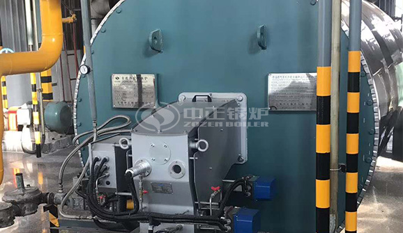 生物質(zhì)鏈條爐